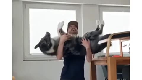 Dog Trusting His Owner!