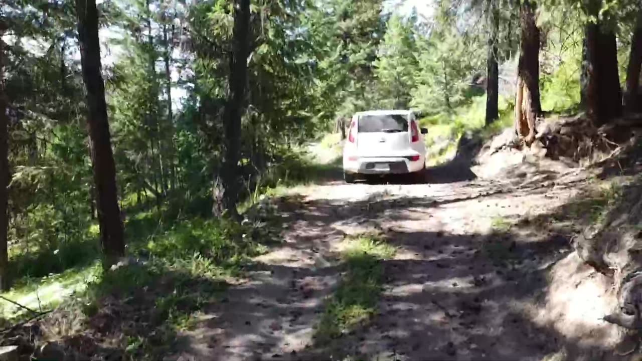 Drone view