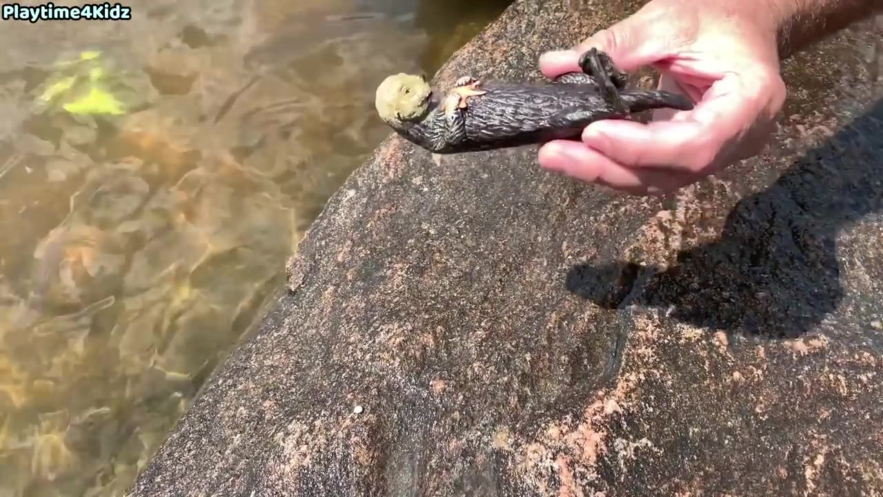 Sea Animal Toys This Summer at the Shore