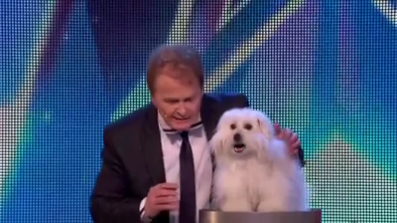 Princess Wendy the talking dog,Britain's Got Talent