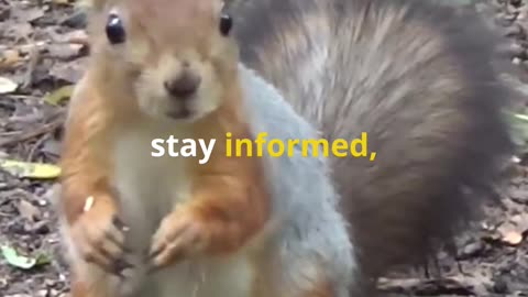 AI to the Rescue Saving Red Squirrels! #ai #squirrels #animalprotectors