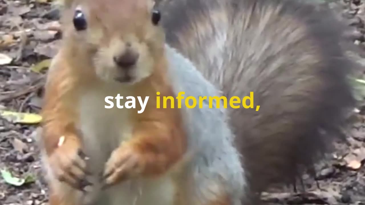 AI to the Rescue Saving Red Squirrels! #ai #squirrels #animalprotectors