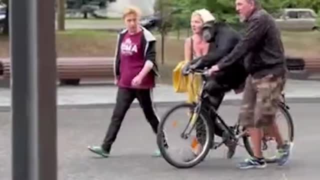 ADORABLE: Escaped Chimpanzee Returns To Zoo After Receiving Her Raincoat And A Bike Ride