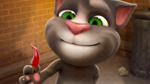 Funny Tom cat
