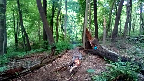 Sunday morning campfire