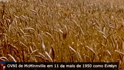 Elon Musk revela 25 fotos misteriosas que a ciência não consegue explicar