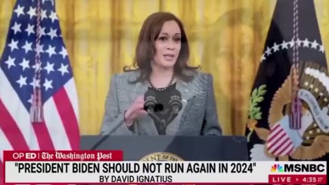 MSNBC doesn't understand why Americans don't like Kamala.