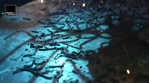 BrandvanEgmond in Berlin bei steidten+