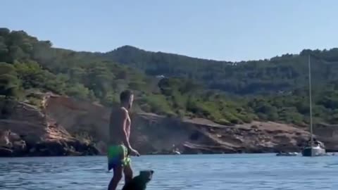 Dogs video❣️ best dogs