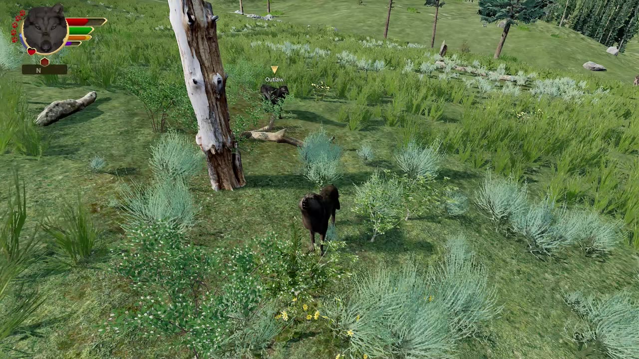 WolfQuest: Anniversary Edition · Dusk's Story · Episode 14 · Fixing Territory