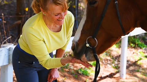 woman touching horse