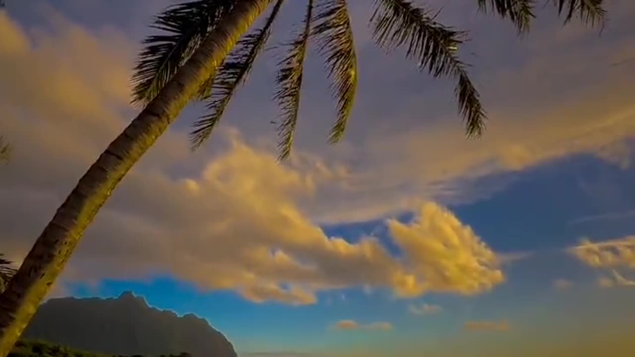 The stunning beauty of Hawaii.