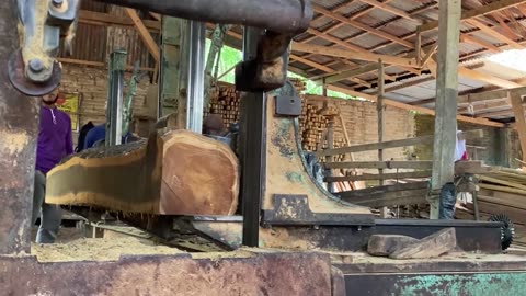 Teak Wood Wood Found by Salulekbo Residents at the Budong-Budong Special Dam Project