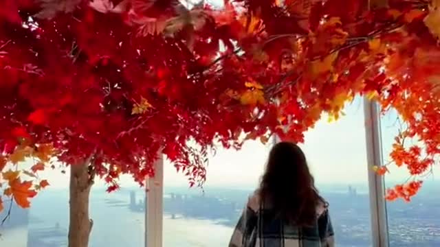 Fall has arrived 1,100 feet above NYC