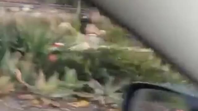 With car on the road