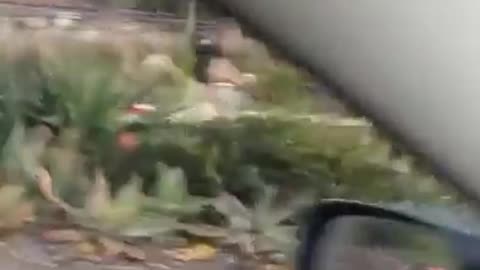 With car on the road