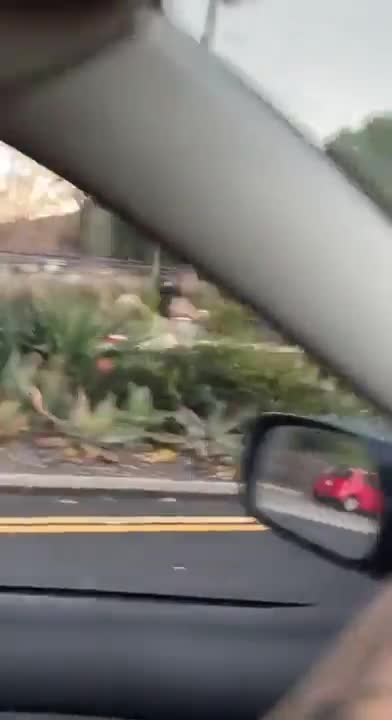 With car on the road