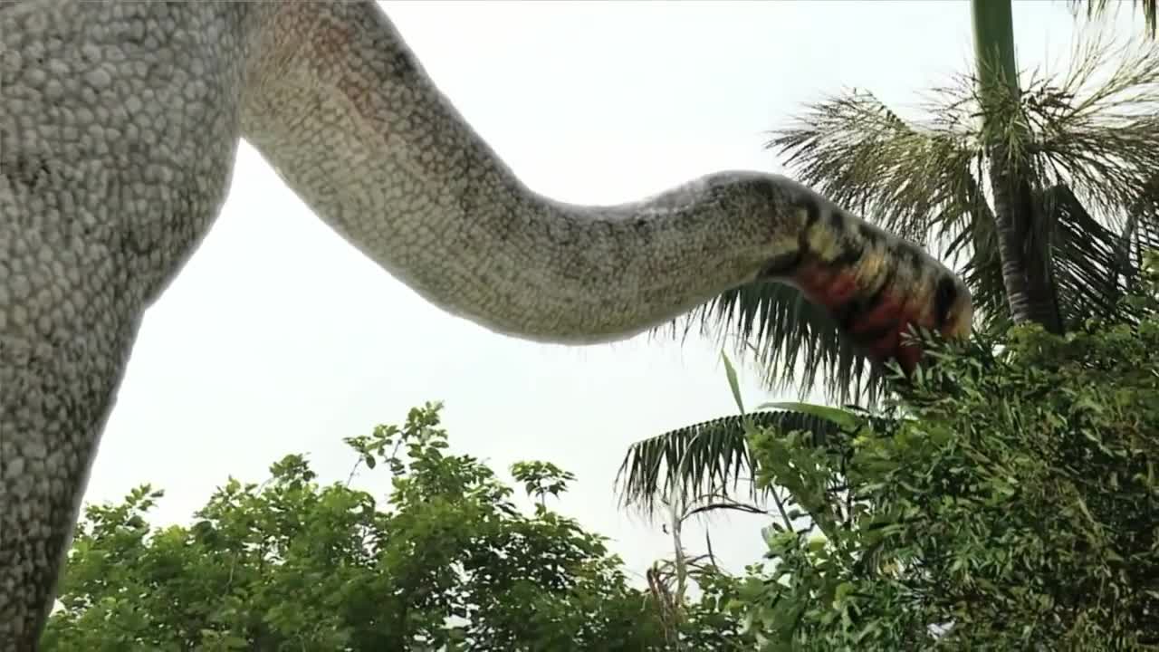 MEGA-HUGE: The Biggest Dinosaurs Ever!