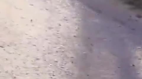 Israel War (graphic)
