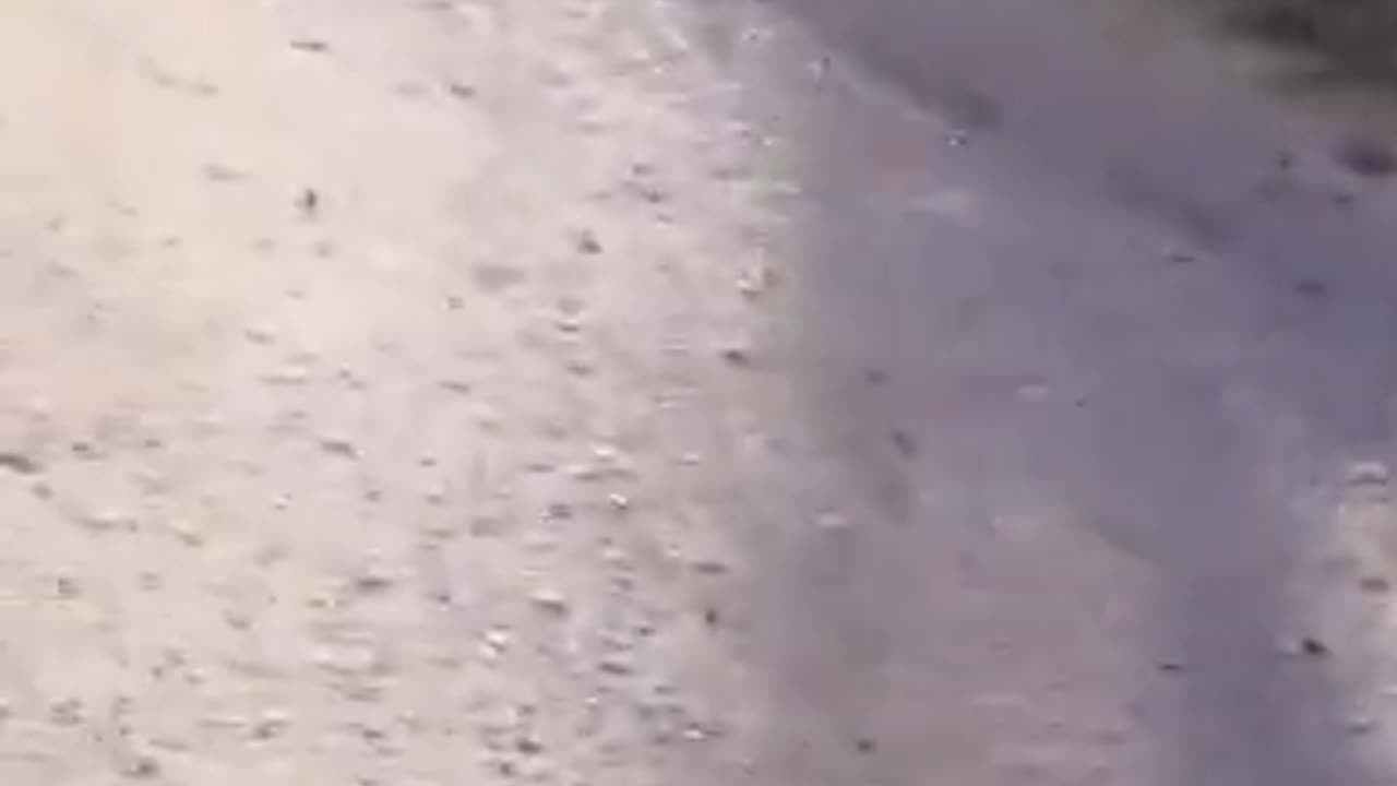 Israel War (graphic)