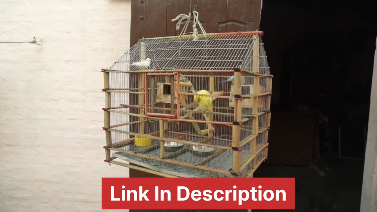 Ted's Woodworking Reviews ( Ted's 16000 Woodworking plan)