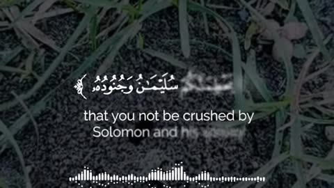 قرآن |سورة النمل |الآيات 18-19 Quran |surah Al-naml |Quranic verse 18-19