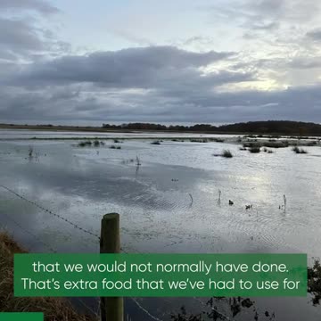 Just Stop Oil's Roger Hallam Responds To UK's Regular Floods By Telling Everyone To Stop Eating Meat