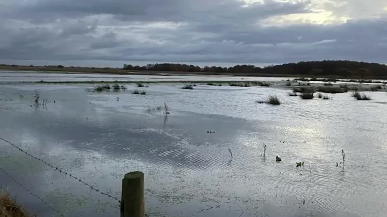 Just Stop Oil's Roger Hallam Responds To UK's Regular Floods By Telling Everyone To Stop Eating Meat