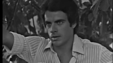 Anjo Mau - 1976 - Capítulo 168