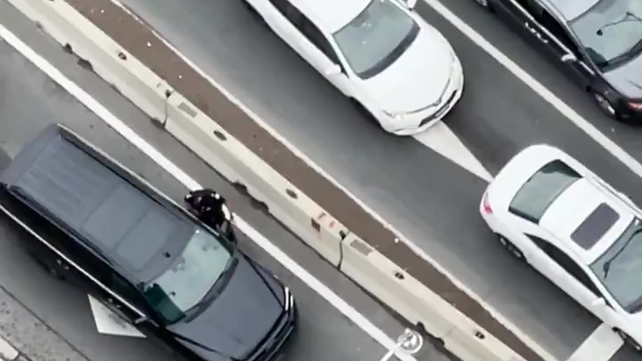 Palestinian Protesters Block Traffic on the Gardiner Expressway...then this happens...