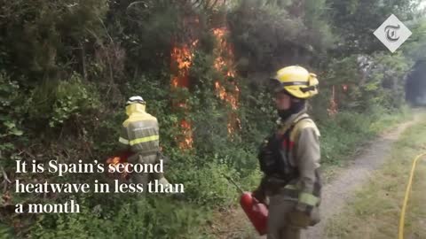 Firefighters struggle to control wildfires in France and Spain