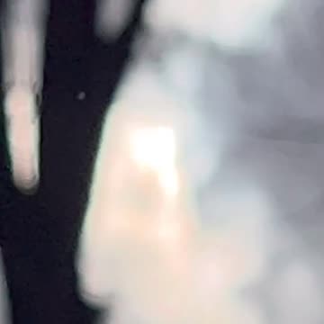 ГОСТЬ, GO TO HOST, GHOST, НОС, NOSE IN TO WHITE NOISE, NEO FOLLOW RABBIT FROM ROOT TREE