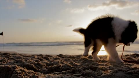 Beach fun