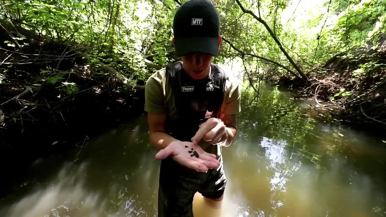 Snorkeling and diving in the Great Lakes