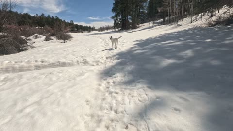 Forest Lakes hike April 9th Pt I