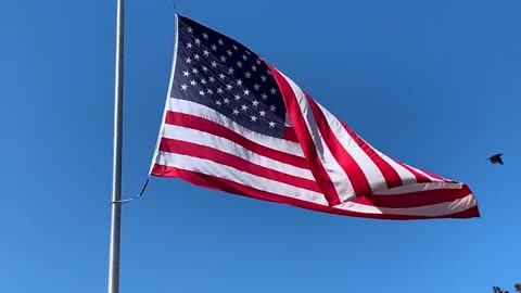 Gravesites Of ALL 39 U.S. Presidents