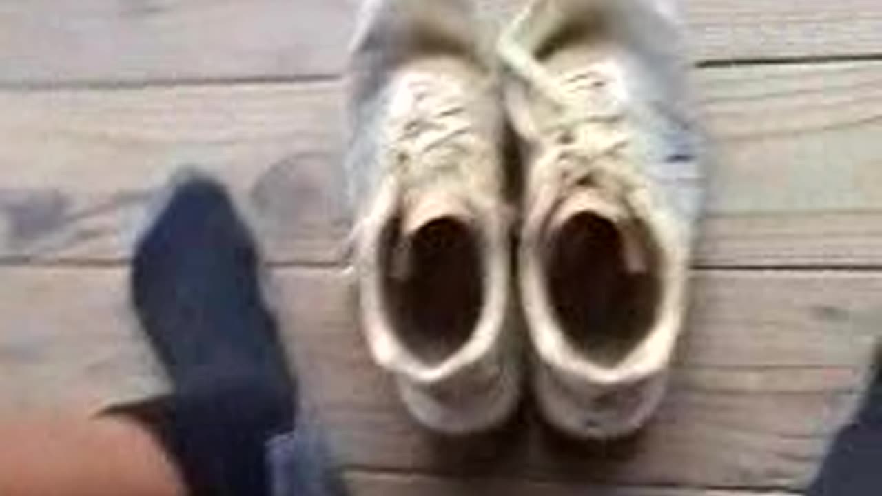 GOLD STREET = 5 x 5 x 5. JOY. COCOA AS MONEY. Monday, June 26, 7:41pm finish, 2023.