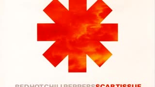 Red Hot Chili Peppers - Scar Tissue