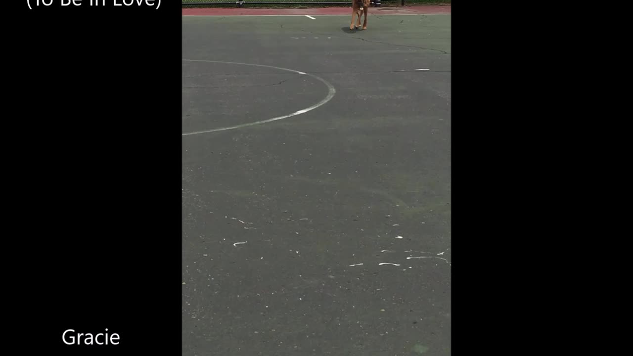 Gracie Running