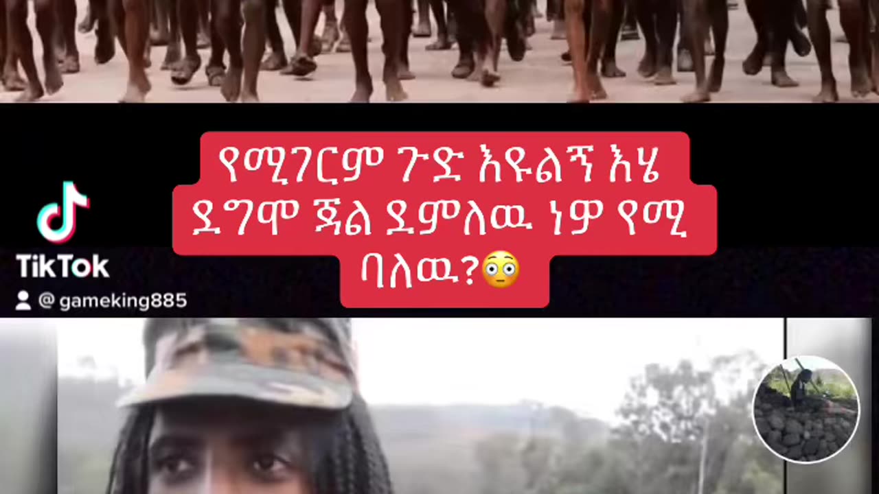 Amhara Fano(አማራ ፋኖ)