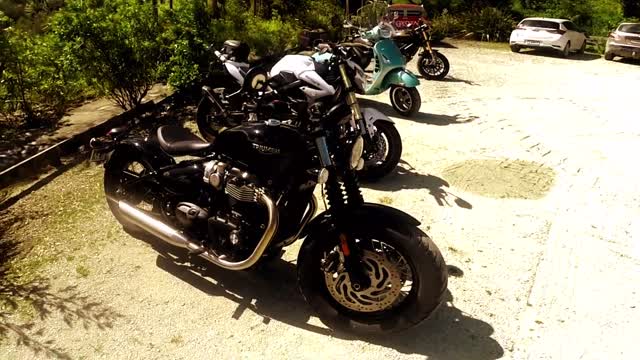 Early Morning Ride to Waikeretu Cafe