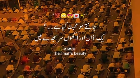 Beautiful scene 🥰🤩