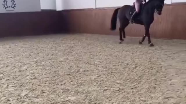 Horse SOO Cute! Cute And funny horse Videos Compilation cute moment #23