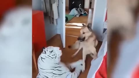 Funny Animal Videos 2023 🥰 - Funniest Dogs and Cats Videos