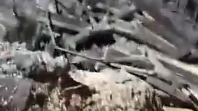 Supposedly footage from the site where the two rockets fell in Poland.