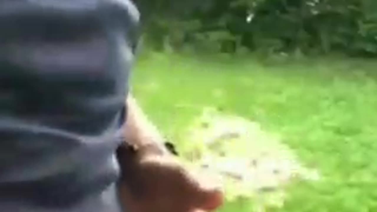 고기랑 자석이 붙는다고?!