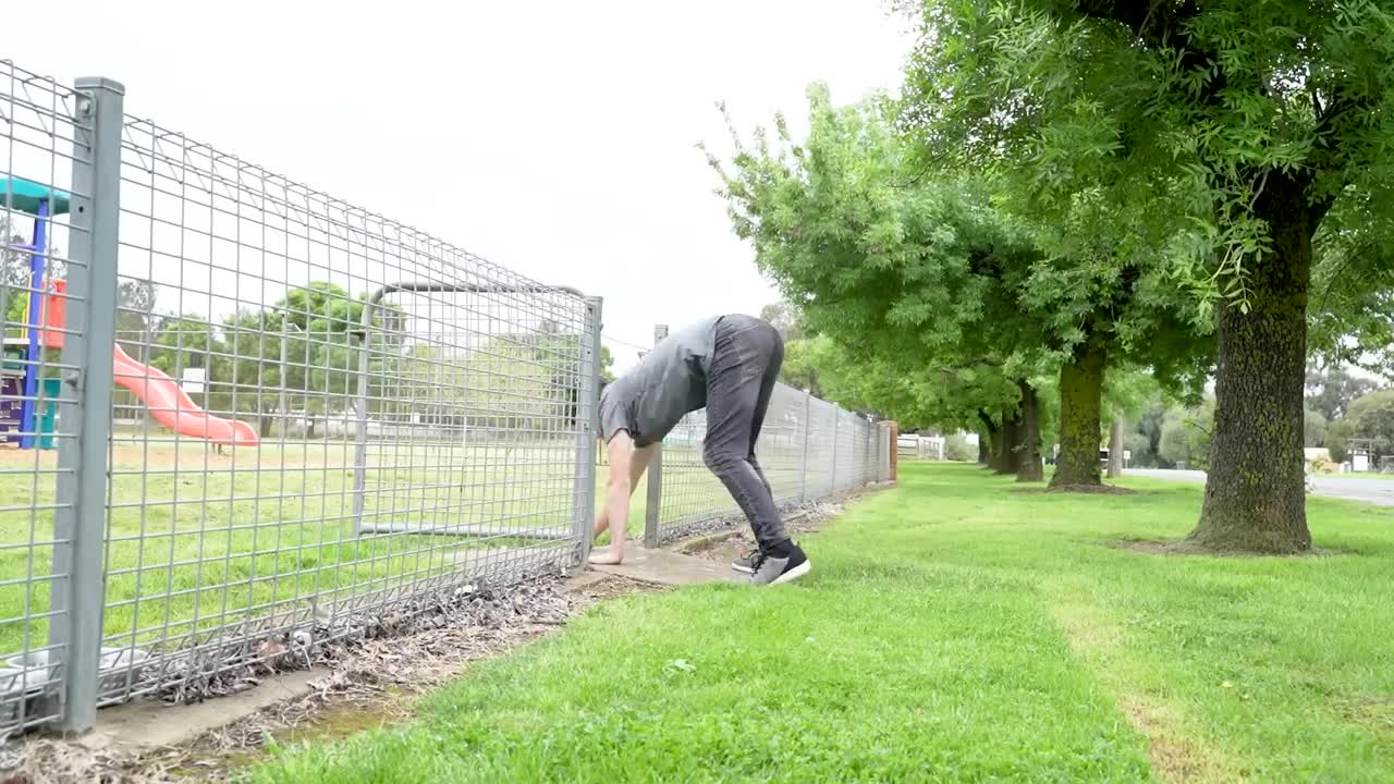 How Different Animals Get Over A Fence