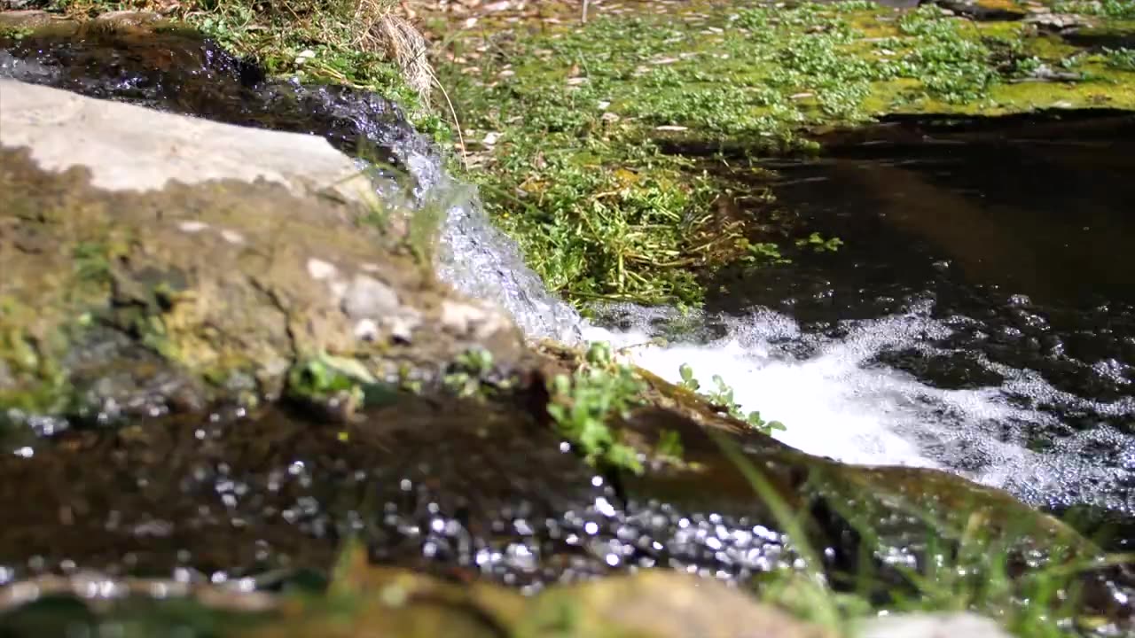 Small Waterfall | Edwin Stock Video