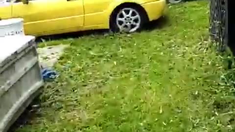 YARD WORK DONE