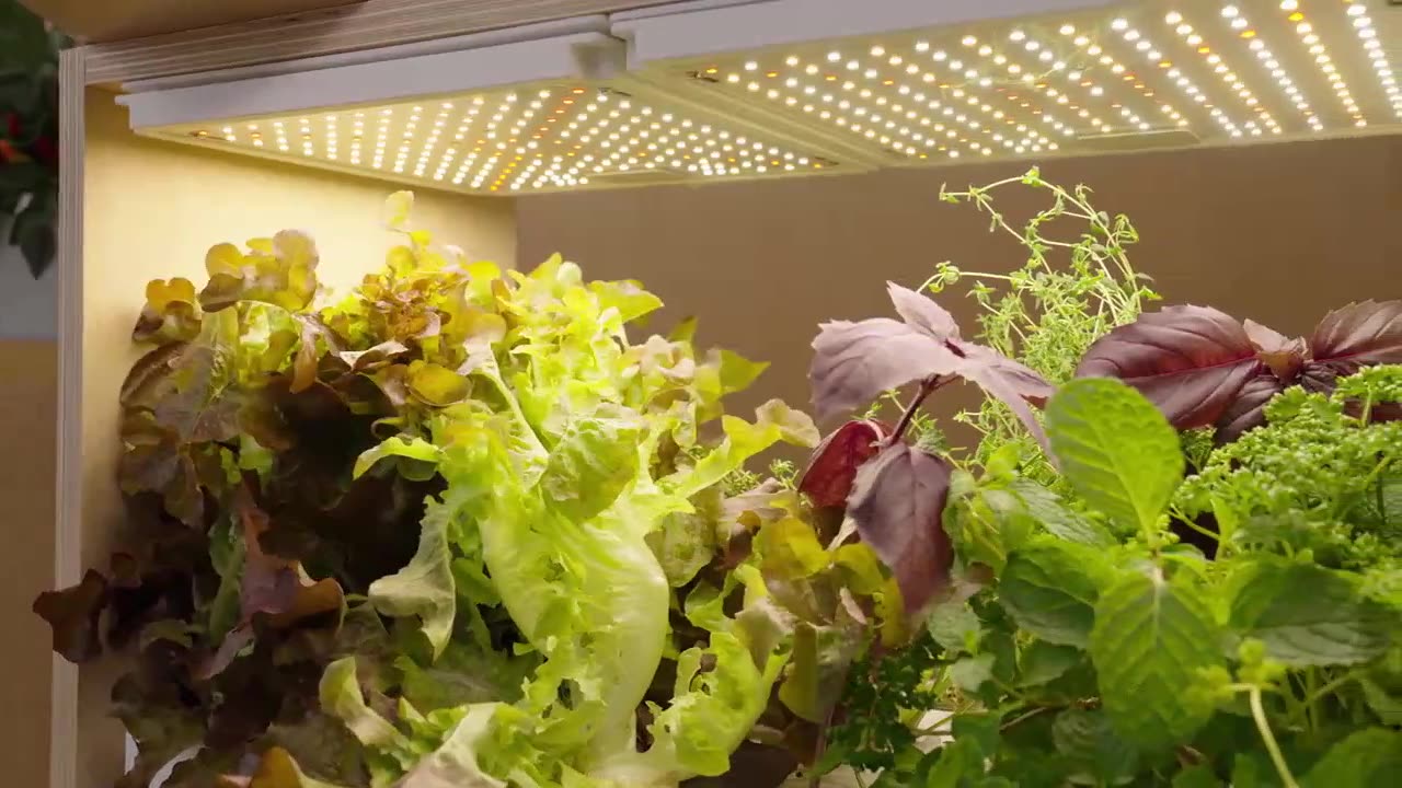 Verda Garden Modular|Smart, Space-Saving Way to Grow Veggies